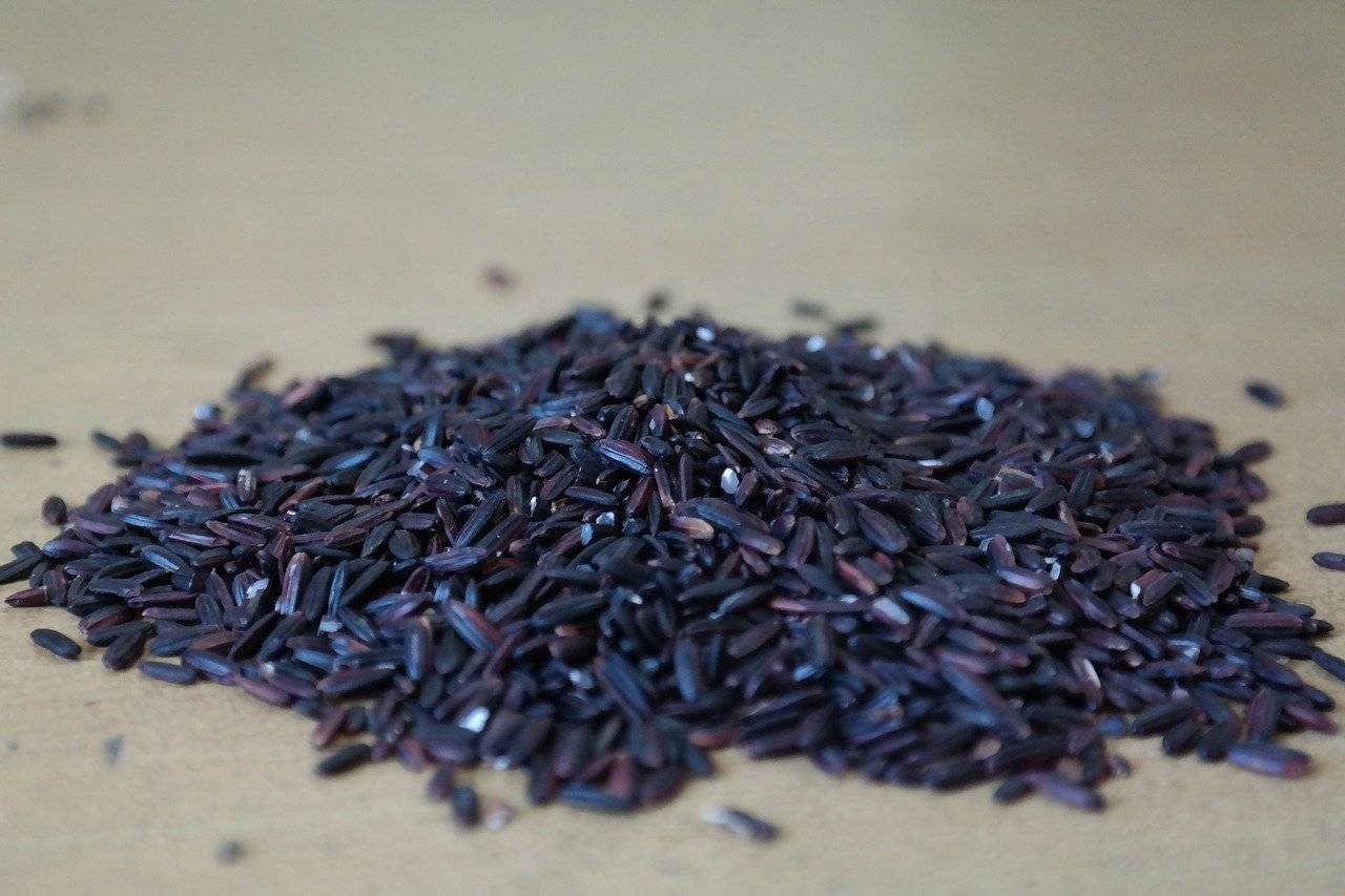 40代からの健康法、十穀米甘酒の色は「黒米」でほんのり紫色、黒米の嬉しい栄養とは？