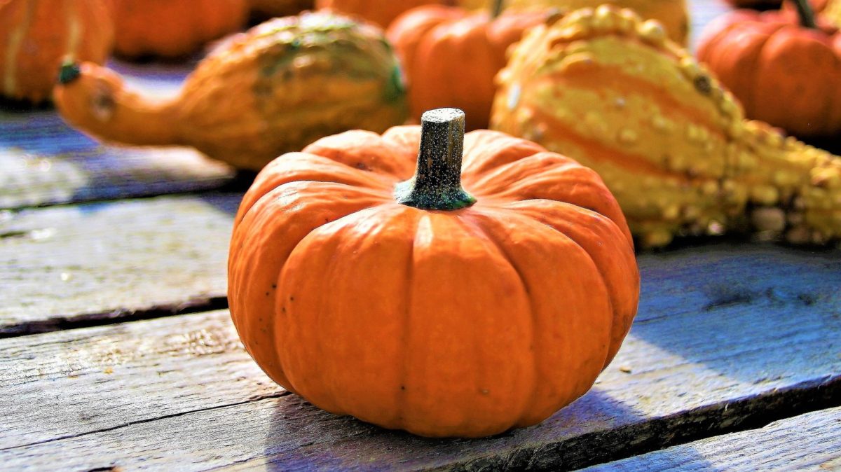 ハロウィンと言えばかぼちゃ！40代からの健康法として、かぼちゃが更年期障害の改善にも期待できる食材