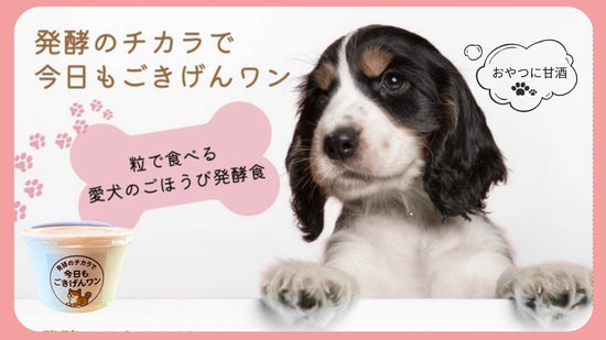 発酵のチカラで今日もごきげんワン♪（3個入り/冷凍/送料込み）