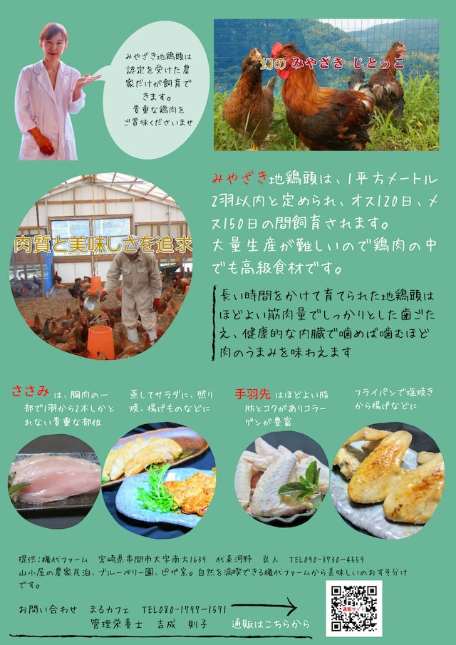 宮崎地鶏頭ささみ+食べる十穀米甘酒（冷凍）